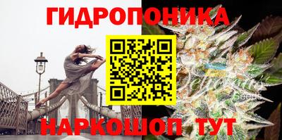 a pvp Азнакаево