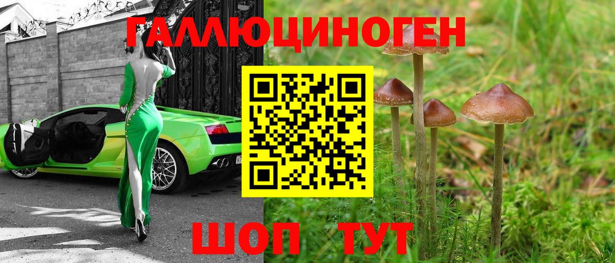 Псилоцибиновые грибы Cubensis  где найти наркотики  Вход с VPN  Северодвинск  Галлюциногенные грибы MAGIC MUSHROOMS 